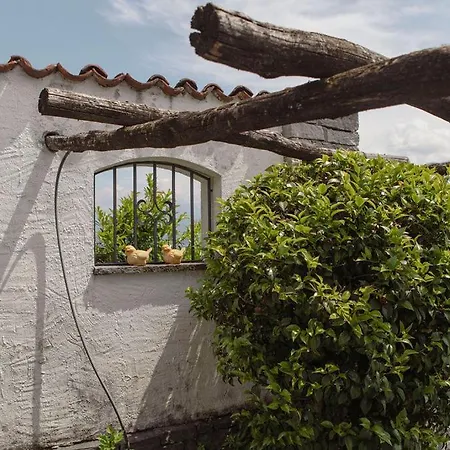 Holiday home Casa Rondinella App 9500 Orselina